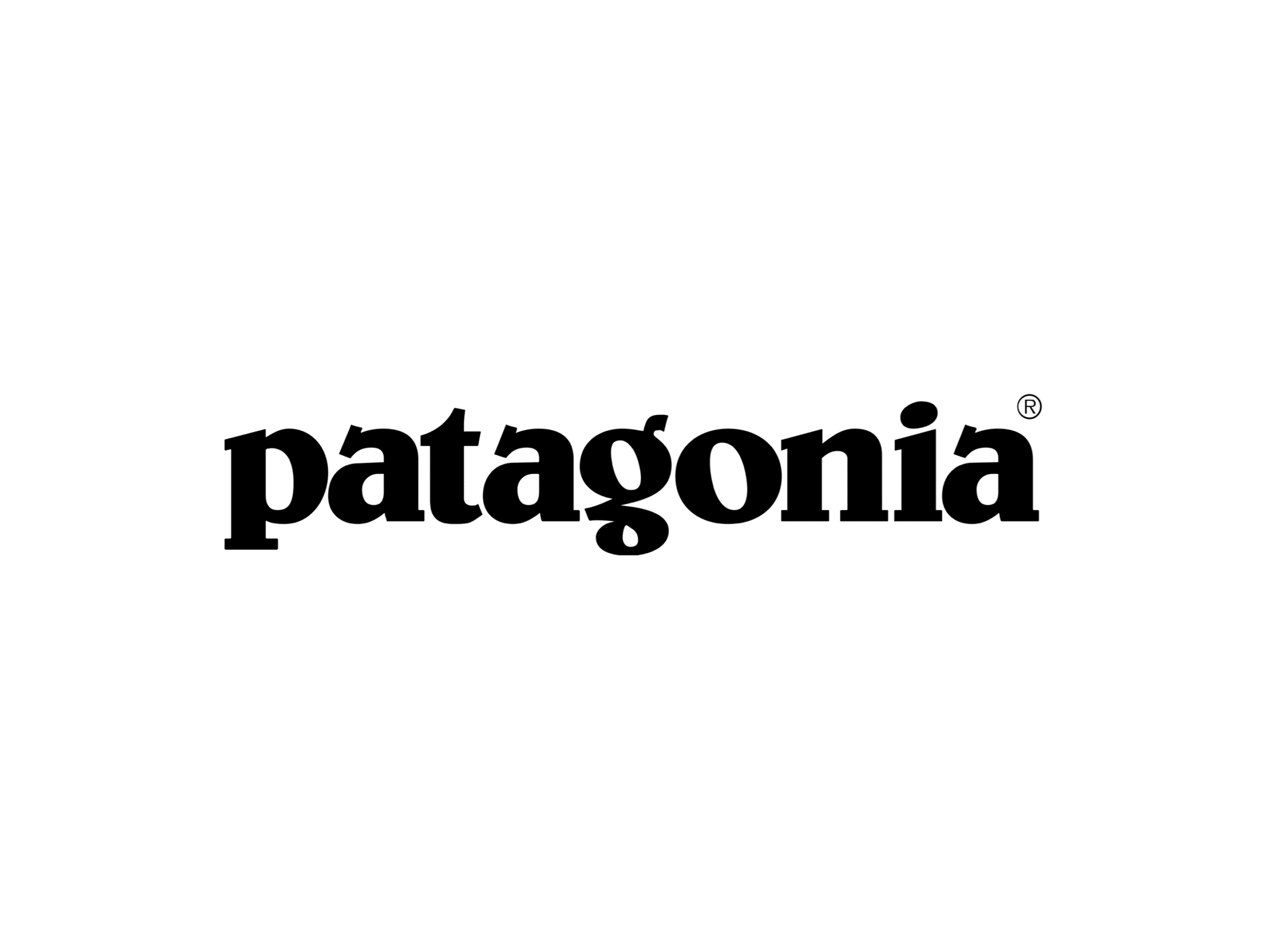 Patagonia: A Brand Determined to Empower People to Protect Their  Environment - Aware The Platform