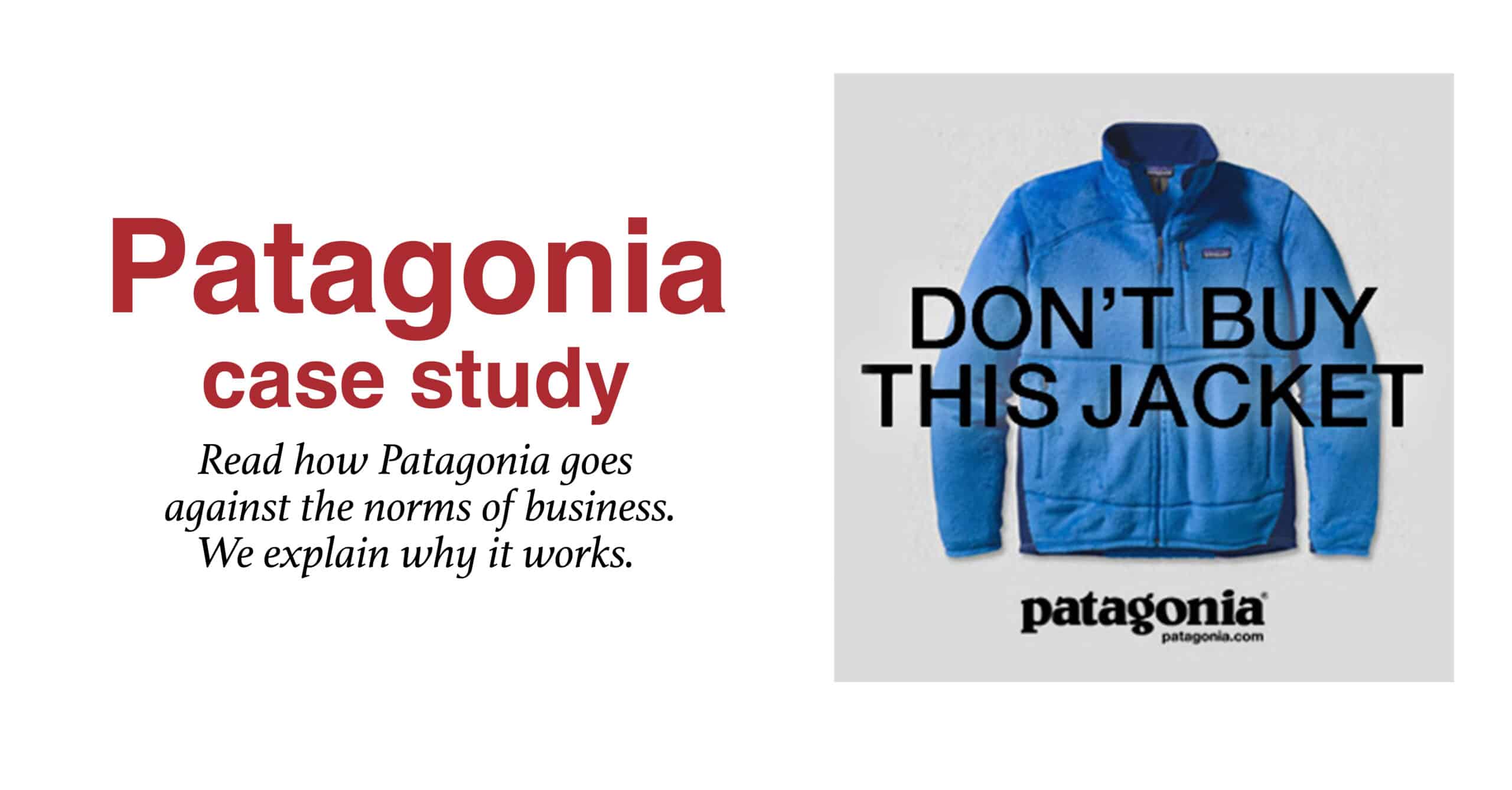 Patagonia case study