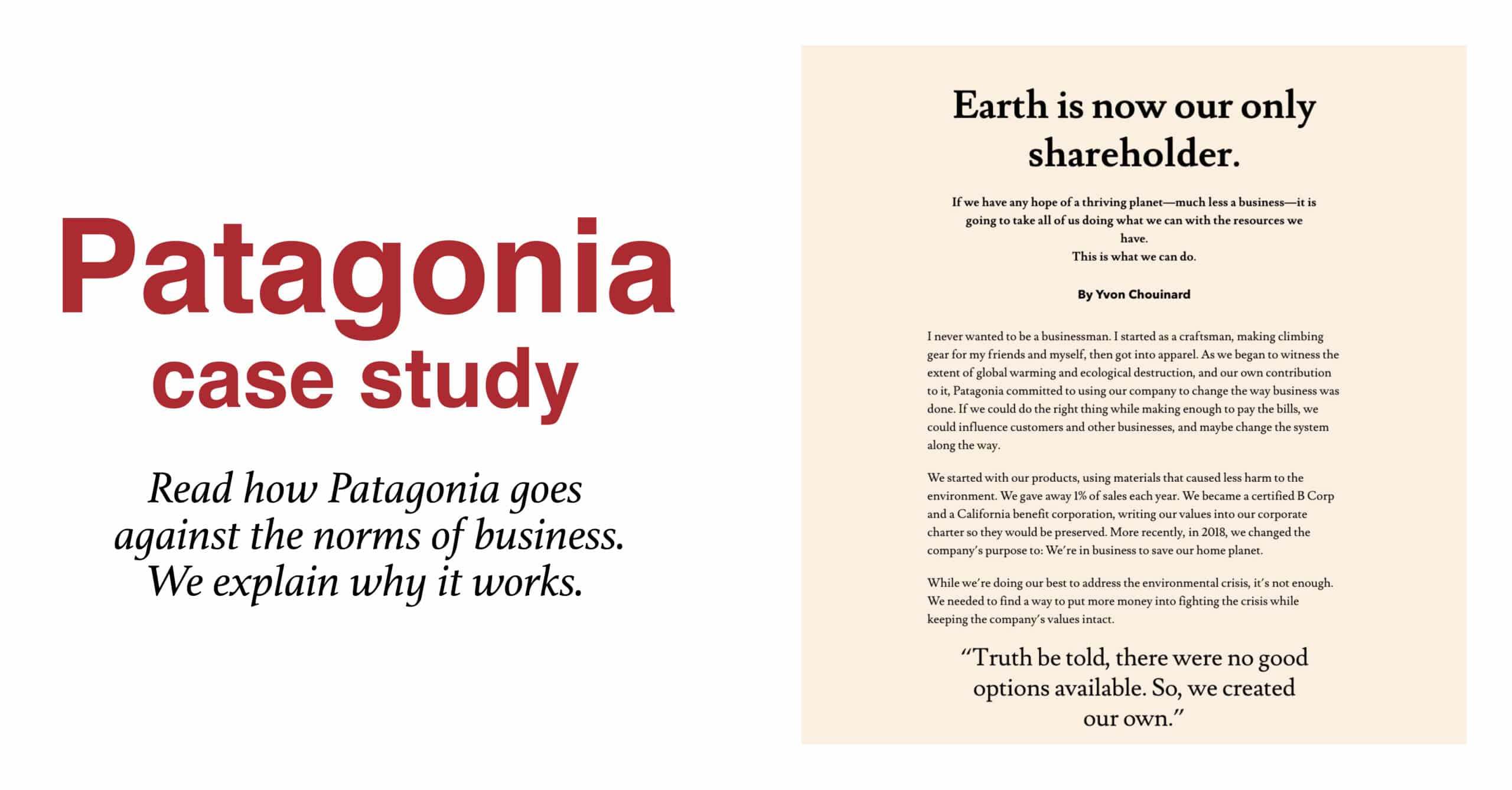 Patagonia Case Study