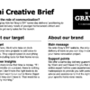 Mini Creative Brief for DTC brands
