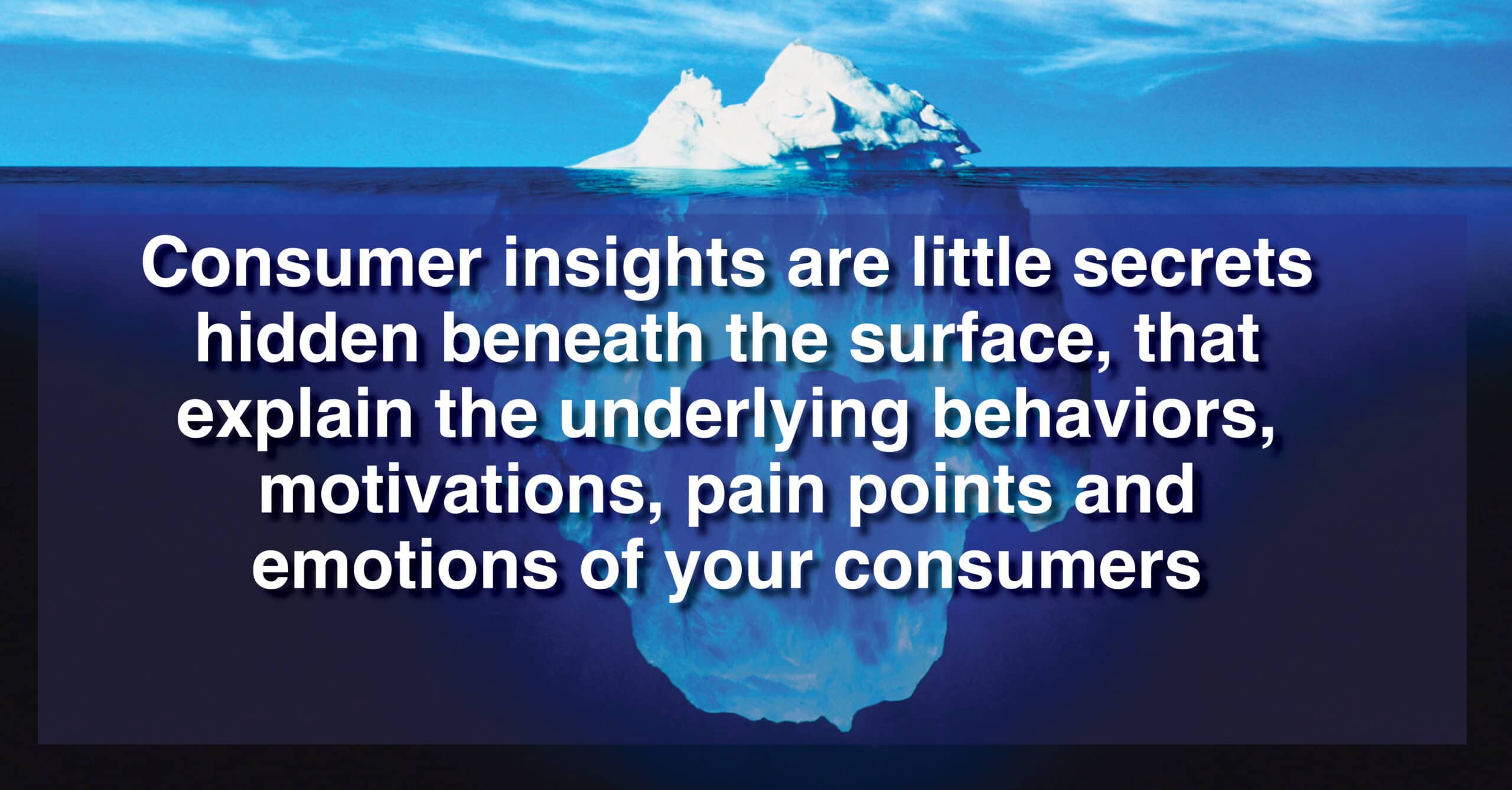 consumer insights or customer insight