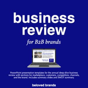 brand plans for b2b brands, brand positioning for b2b brands, business reviews for b2b brands, brand toolkit for b2b brands