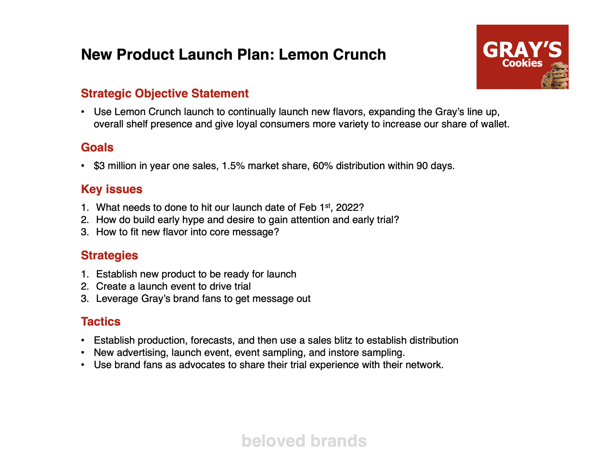 new product launch for marketing plan template