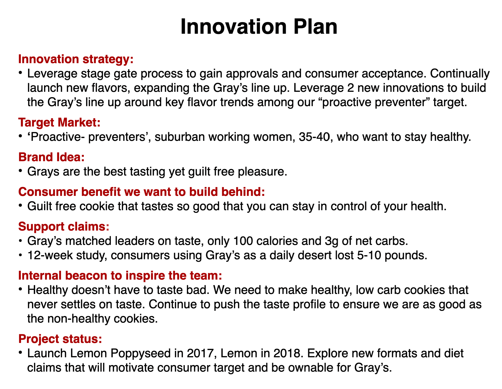 Innovation Plan Innovation Process New Product Strategy Product Plan