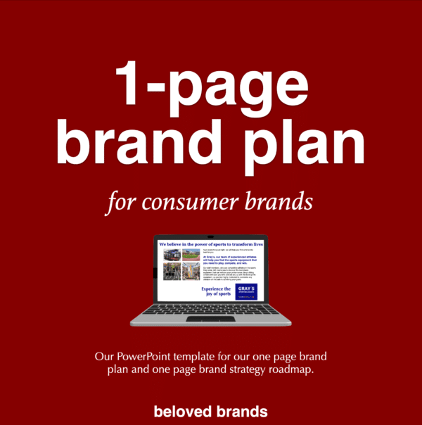 Brand Toolkit for consumer brands, Brand Toolkits, brand plan, brand positioning, business review, brand toolkits for B2B brands, brand toolkits for consumer brands, brand toolkits for healthcare, brand toolkits for retail brands