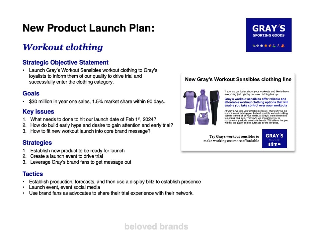 New Product Launch Plan